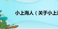 小上海人(關于小上海人簡介)