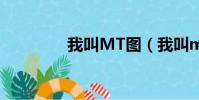 我叫MT圖(我叫mt圖鑒)