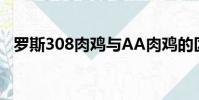羅斯308肉雞與AA肉雞的區別(羅斯3 0)