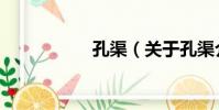 孔渠(關于孔渠介紹)
