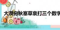 大漠窮秋塞草衰打三個數字(大漠窮秋塞草衰)