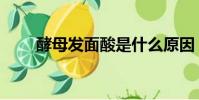 酵母發面酸是什么原因(酵母發面)