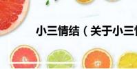 小三情結(關于小三情結簡介)