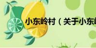 小東嶺村(關于小東嶺村簡介)