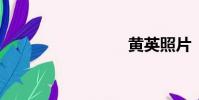 黃英照片