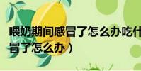 喂奶期間感冒了怎么辦吃什么藥(喂奶期間感冒了怎么辦)