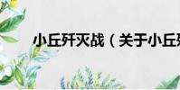 小丘殲滅戰(關于小丘殲滅戰簡介)