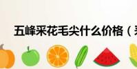 五峰采花毛尖什么價格(采花毛尖價格)