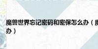 魔獸世界忘記密碼和密保怎么辦(魔獸世界密保卡丟了怎么辦)