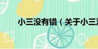 小三沒有錯(關于小三沒有錯簡介)