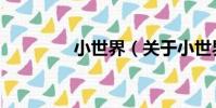 小世界(關于小世界簡介)