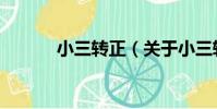 小三轉正(關于小三轉正簡介)