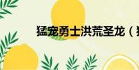 猛寵勇士洪荒圣龍(猛寵勇士)