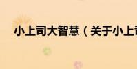 小上司大智慧(關于小上司大智慧簡介)