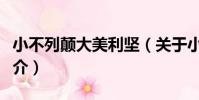 小不列顛大美利堅(關于小不列顛大美利堅簡介)