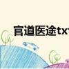 官道醫途txt全集下載80（官道醫途txt）