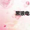 黑狼電視劇全集（黑狼電視劇）