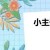小主夫（關于小主夫簡介）