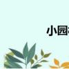 小園村（關于小園村簡介）