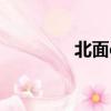 北面gucci聯名t恤（北面）