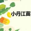 小丹江苗寨（關于小丹江苗寨簡介）
