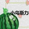 小烏斯力村（關于小烏斯力村簡介）