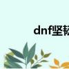 dnf堅韌之骨（dnf堅硬的頭骨）