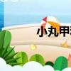 小丸甲科（關于小丸甲科簡介）