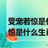 受寵若驚是什么生肖求作業幫解答?（受寵若驚是什么生肖）