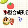小型合成孔徑雷達（關于小型合成孔徑雷達簡介）