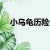 小烏龜歷險記（關于小烏龜歷險記簡介）