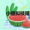 小麗擬枝瑚菌（關于小麗擬枝瑚菌簡介）