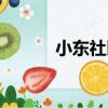 小東社區（關于小東社區簡介）