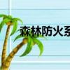 森林防火系統集成商（森林防火系統）