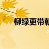 柳綠更帶朝煙的意思（柳綠更帶春煙）