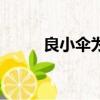 良小傘為什么叫傘根碩（良小傘）