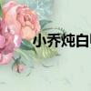 小喬燉白鴨（關于小喬燉白鴨簡介）