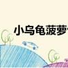 小烏龜菠蘿包（關于小烏龜菠蘿包簡介）