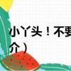 小丫頭！不要跑！（關于小丫頭！不要跑！簡介）