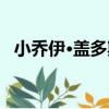 小喬伊·蓋多斯（關于小喬伊·蓋多斯簡介）