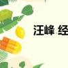 汪峰 經典歌詞（汪峰歌詞露骨）