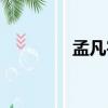 孟凡宇（關于孟凡宇介紹）