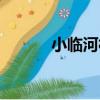 小臨河村（關于小臨河村簡介）