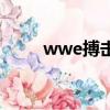 wwe搏擊表演賽（wwe格斗之夜）