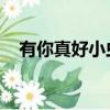 有你真好小蟲歌詞含義（有你真好 小蟲）