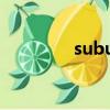 suburb怎么讀（suburb）