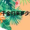 千金歸來多少集長清金睿（千金歸來多少集）