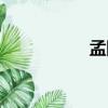 孟剛（關于孟剛介紹）
