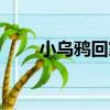 小烏鴉回家（關于小烏鴉回家簡介）