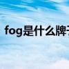 fog是什么牌子的電子煙（FOG是什么牌子）